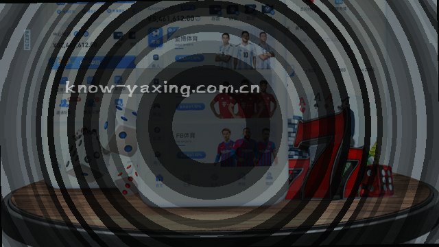 专业支持，随时响应你的需求